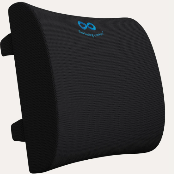 Everlasting Comfort Lumbar Support Cushion